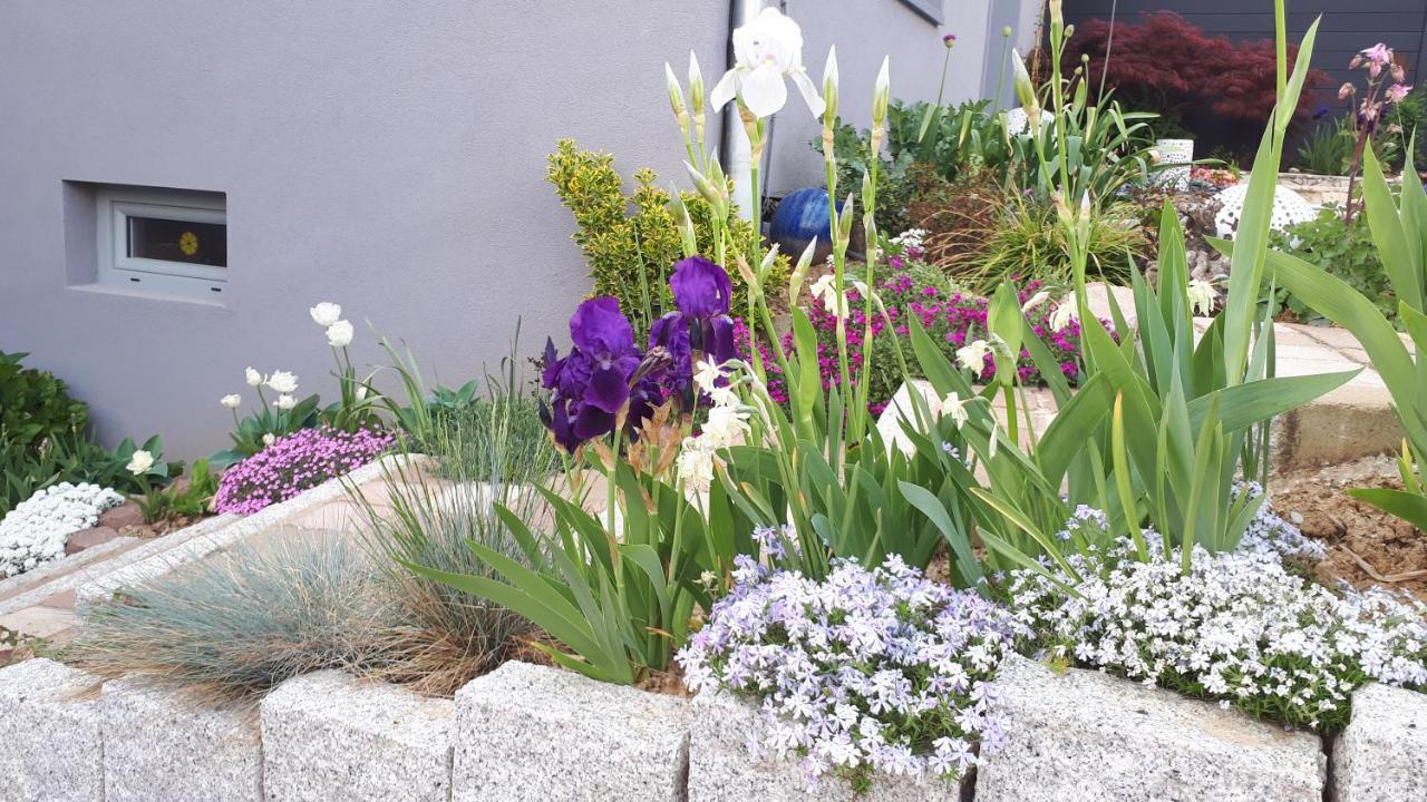 Gite Terre D'Helene 4 A 5 Pers Proche Strasbourg 42 M2, 3 Etoiles, Wifi, Paisible, Jardin, Proche Commerces,16 Atouts, Animaux Acceptes Berstett Zewnętrze zdjęcie