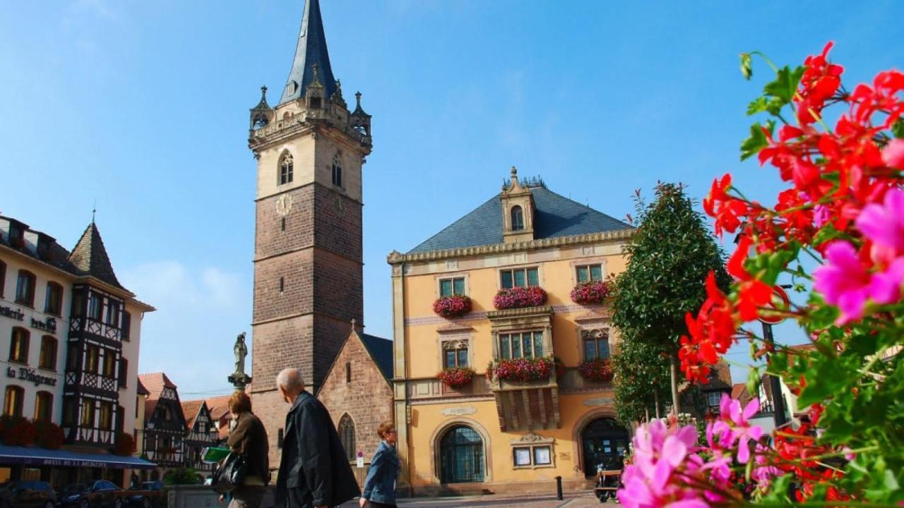 Gite Terre D'Helene 4 A 5 Pers Proche Strasbourg 42 M2, 3 Etoiles, Wifi, Paisible, Jardin, Proche Commerces,16 Atouts, Animaux Acceptes Berstett Zewnętrze zdjęcie