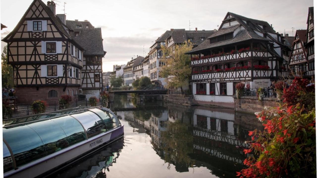 Gite Terre D'Helene 4 A 5 Pers Proche Strasbourg 42 M2, 3 Etoiles, Wifi, Paisible, Jardin, Proche Commerces,16 Atouts, Animaux Acceptes Berstett Zewnętrze zdjęcie