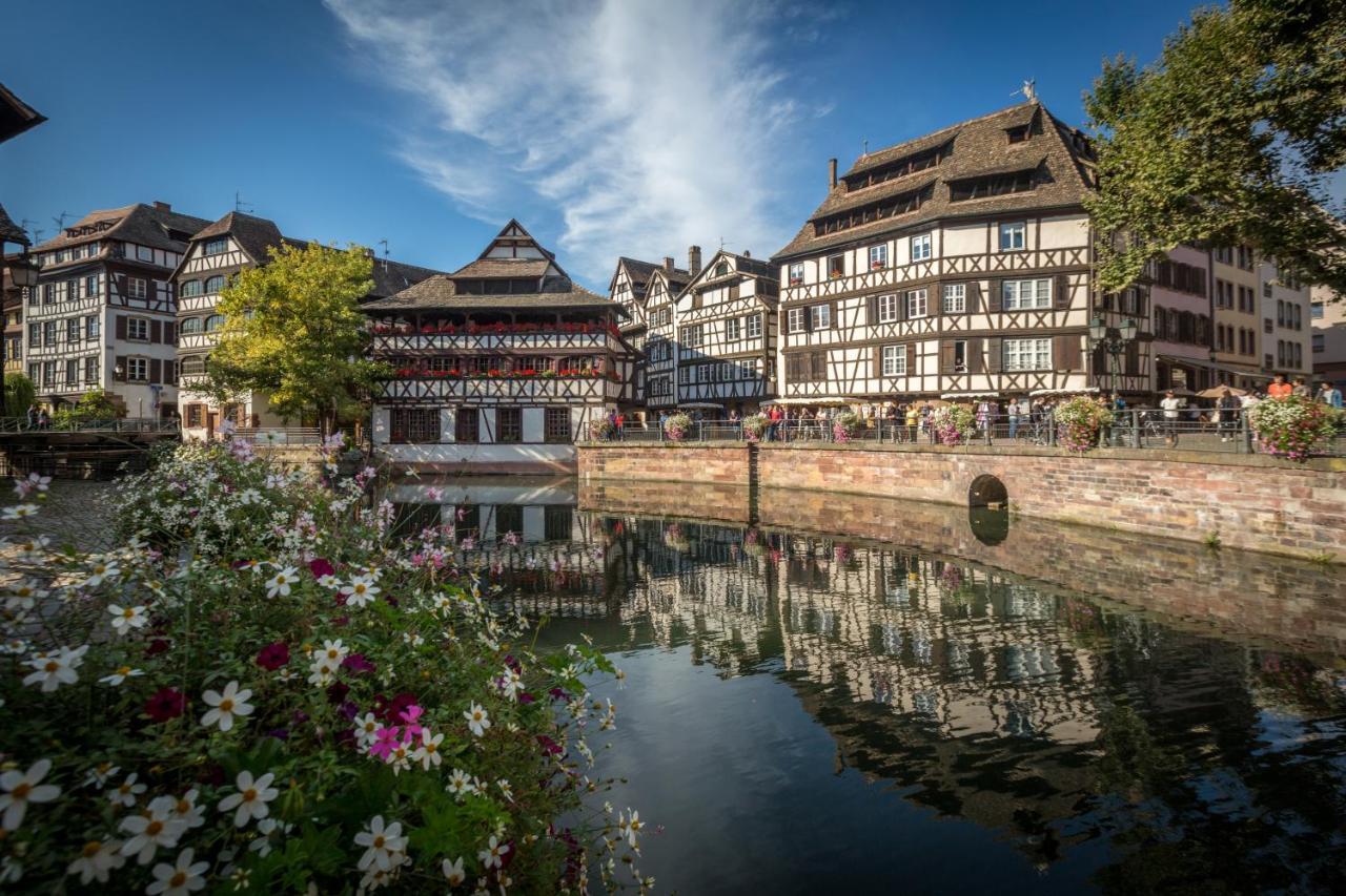 Gite Terre D'Helene 4 A 5 Pers Proche Strasbourg 42 M2, 3 Etoiles, Wifi, Paisible, Jardin, Proche Commerces,16 Atouts, Animaux Acceptes Berstett Zewnętrze zdjęcie