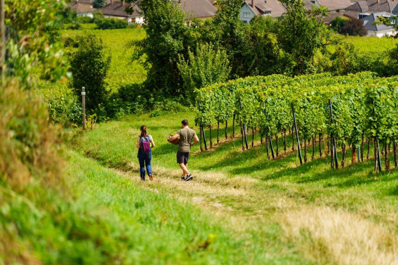 Gite Terre D'Helene 4 A 5 Pers Proche Strasbourg 42 M2, 3 Etoiles, Wifi, Paisible, Jardin, Proche Commerces,16 Atouts, Animaux Acceptes Berstett Zewnętrze zdjęcie