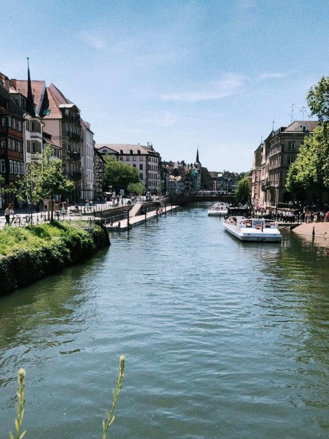 Gite Terre D'Helene 4 A 5 Pers Proche Strasbourg 42 M2, 3 Etoiles, Wifi, Paisible, Jardin, Proche Commerces,16 Atouts, Animaux Acceptes Berstett Zewnętrze zdjęcie