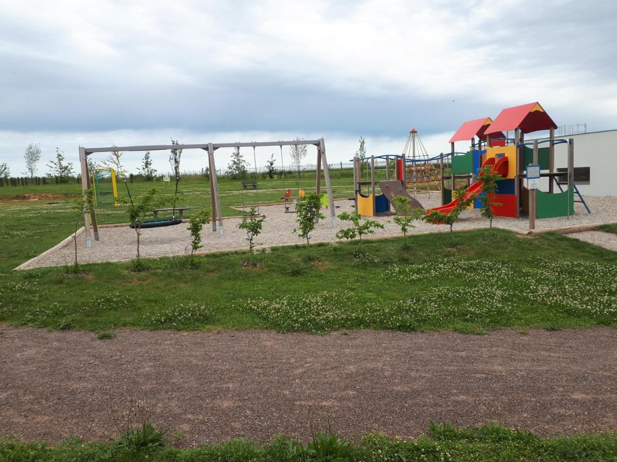 Gite Terre D'Helene 4 A 5 Pers Proche Strasbourg 42 M2, 3 Etoiles, Wifi, Paisible, Jardin, Proche Commerces,16 Atouts, Animaux Acceptes Berstett Zewnętrze zdjęcie