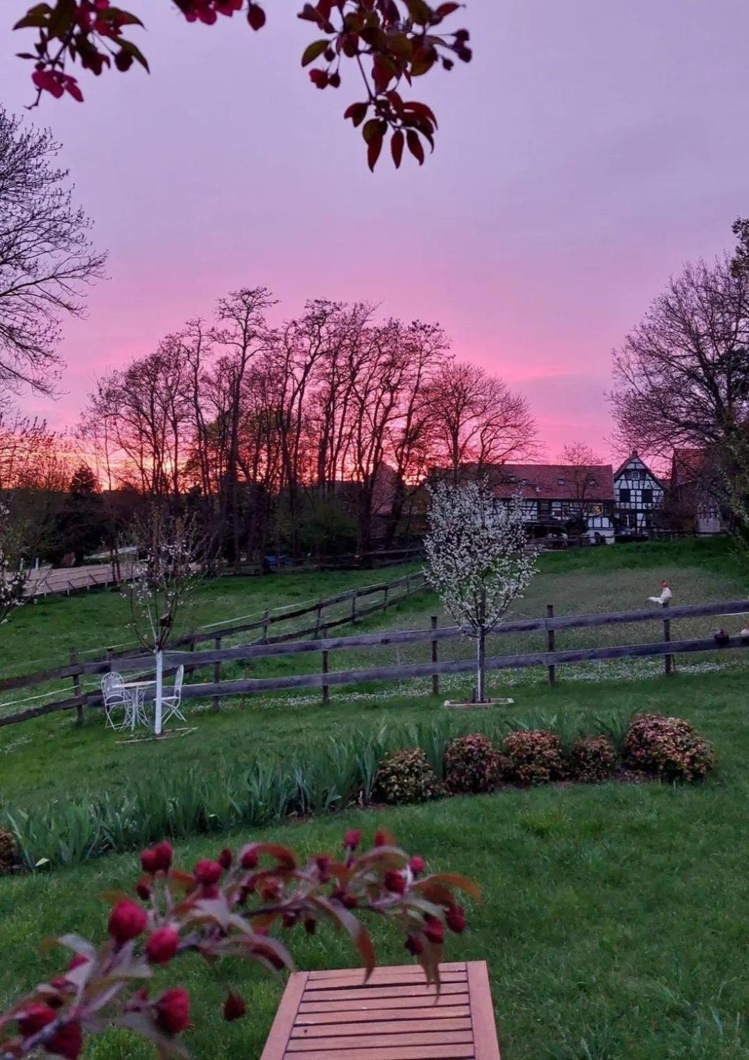Gite Terre D'Helene 4 A 5 Pers Proche Strasbourg 42 M2, 3 Etoiles, Wifi, Paisible, Jardin, Proche Commerces,16 Atouts, Animaux Acceptes Berstett Zewnętrze zdjęcie