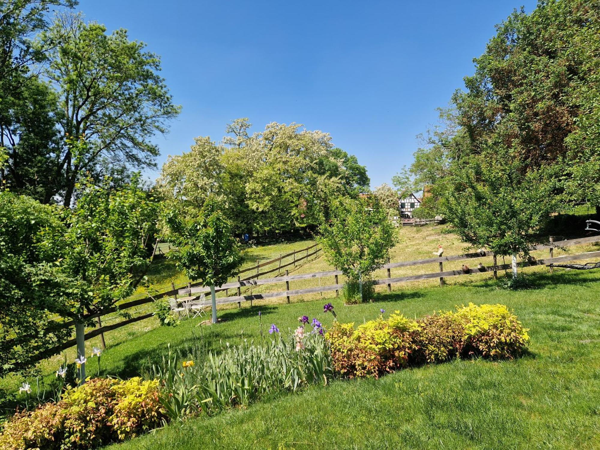 Gite Terre D'Helene 4 A 5 Pers Proche Strasbourg 42 M2, 3 Etoiles, Wifi, Paisible, Jardin, Proche Commerces,16 Atouts, Animaux Acceptes Berstett Zewnętrze zdjęcie